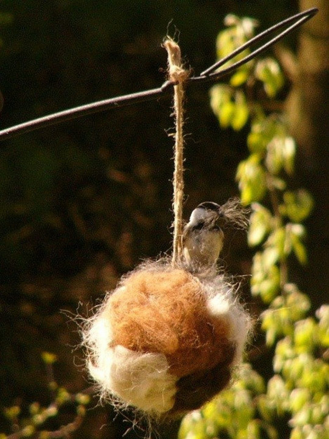 Alpaca Bird Nesting Balls Gifter World