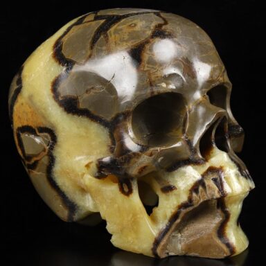5.0” Dragon Septarian Stone Crystal Skull