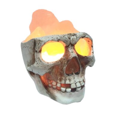 Himalayan Salt Skull Lamp