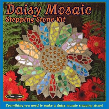 Mosaic Stepping Stone Kit