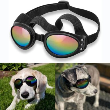 Dog Sunglasses