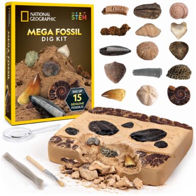 National Geographic Mega Fossil Dig Kit