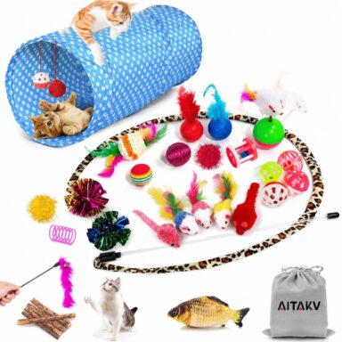 Cat Toys Collection Gift Box