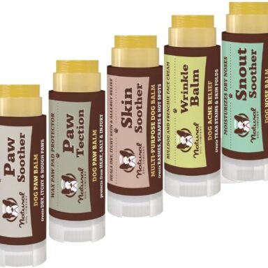 All-Natural Healing Balms for Dogs – 5 Count