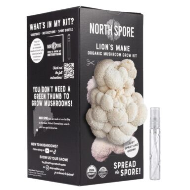 Grow Your Own Mushrooms Kit – DIY