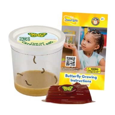 Butterfly Garden – Butterfly Growing Kit for Kids