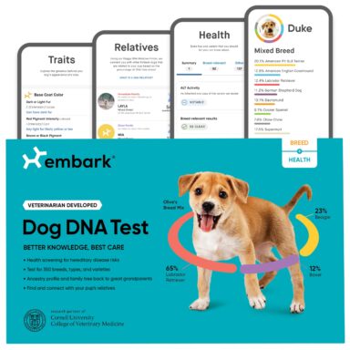 Embark Dog DNA Kit