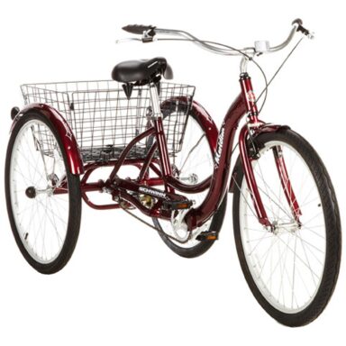 Adult Tricycle