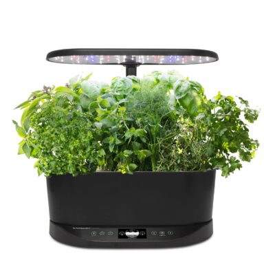 AeroGarden Indoor Herb Garden