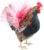 Chicken Tutu