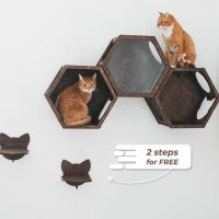 Cat-wall-shelves-by-gifter-world