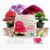 Grow Your Own Bonsai Trees Kit – 4 Different Trees