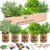 Funky Vegetable Kit