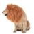 Lion Dog Mane