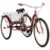 Adult Tricycle