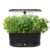AeroGarden Indoor Herb Garden